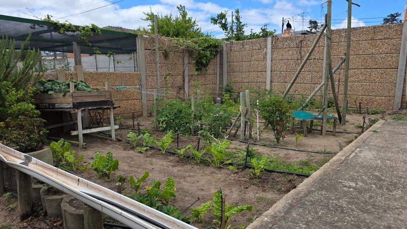 4 Bedroom Property for Sale in Albertinia Western Cape